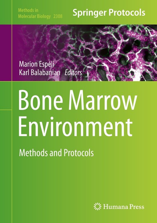 Bone Marrow Environment - cover