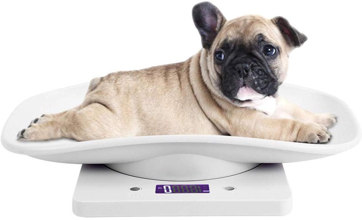 Dierenweegschaal voor huisdieren 10kg/1g – Elektronisch meetinstrument voor kleine kat, hond en puppy