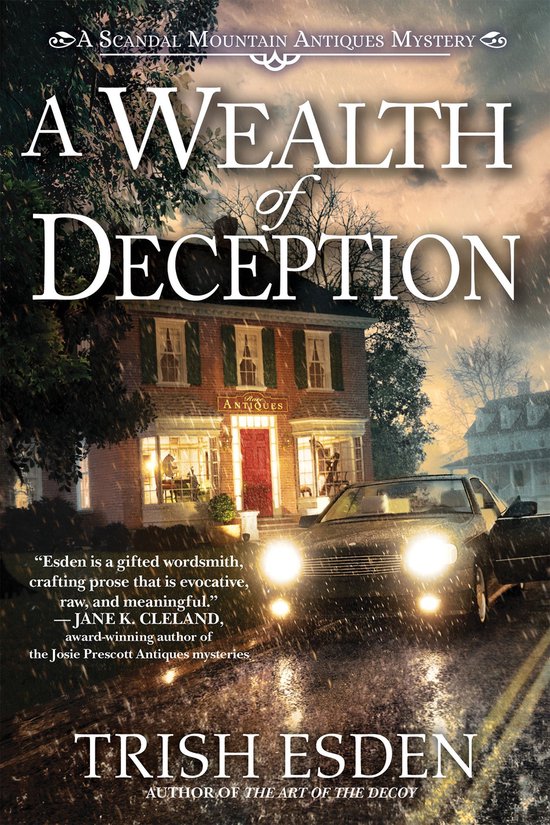 A Scandal Mountain Antiques Mystery 2 - A Wealth of Deceptio ... - cover