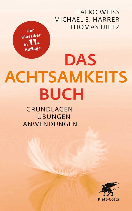 Das Achtsamkeitsbuch - cover