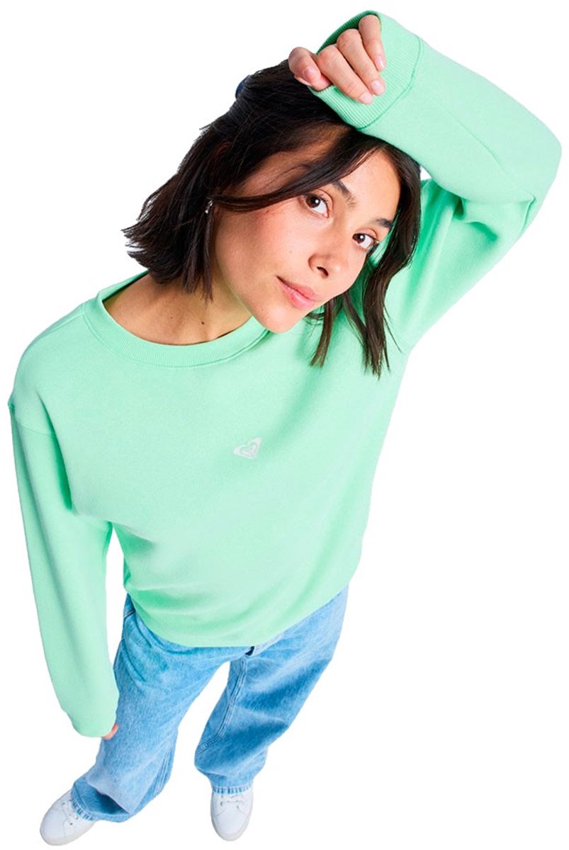 Roxy Surf Stoked Vintage Sweatshirt S Vrouw Groen