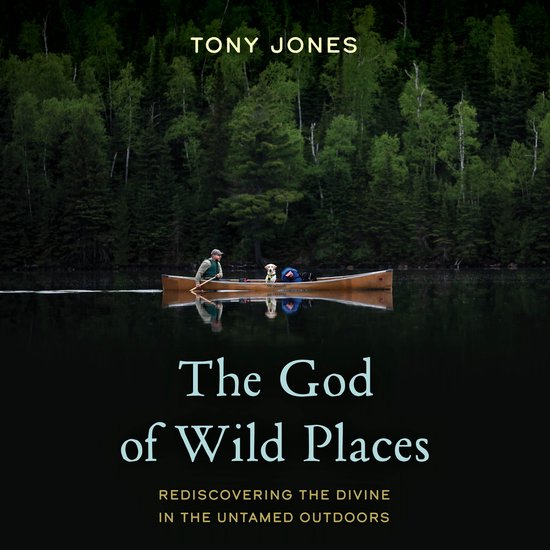 The God of Wild Places - cover
