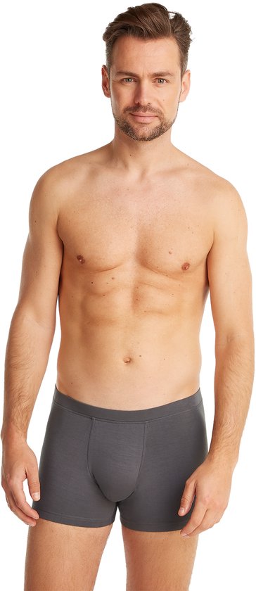 Picture Alpho Shorts Heren - Dark Stone