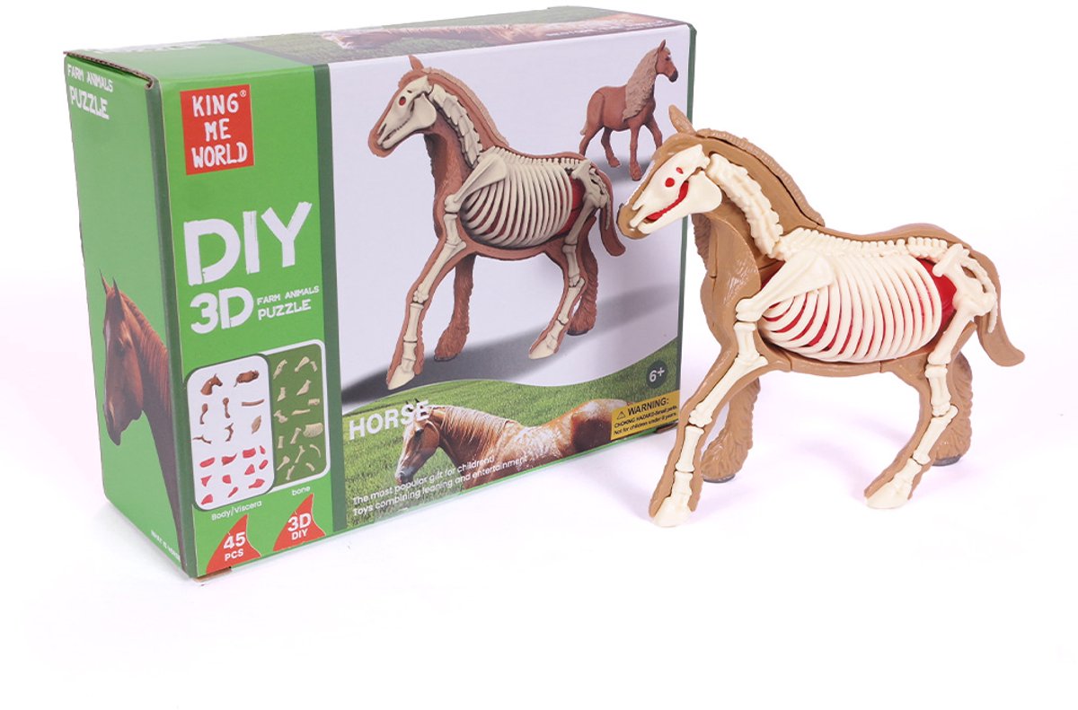 PIA Soft Toys - 3D Anatomie - Paard