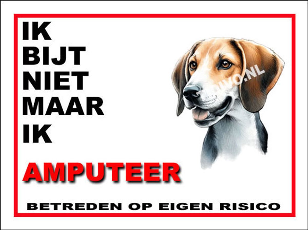 Fox Terrier 5