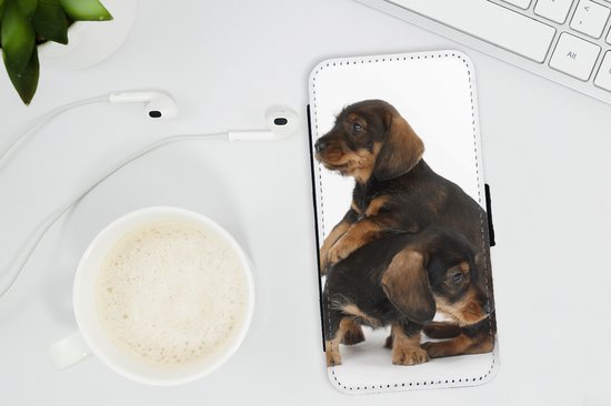 Telefoonhoesje Geschikt voor iPhone XR telefoonhoesje - Studio foto van twee lieve Teckels - Met vakjes - Wallet case met magneetsluiting