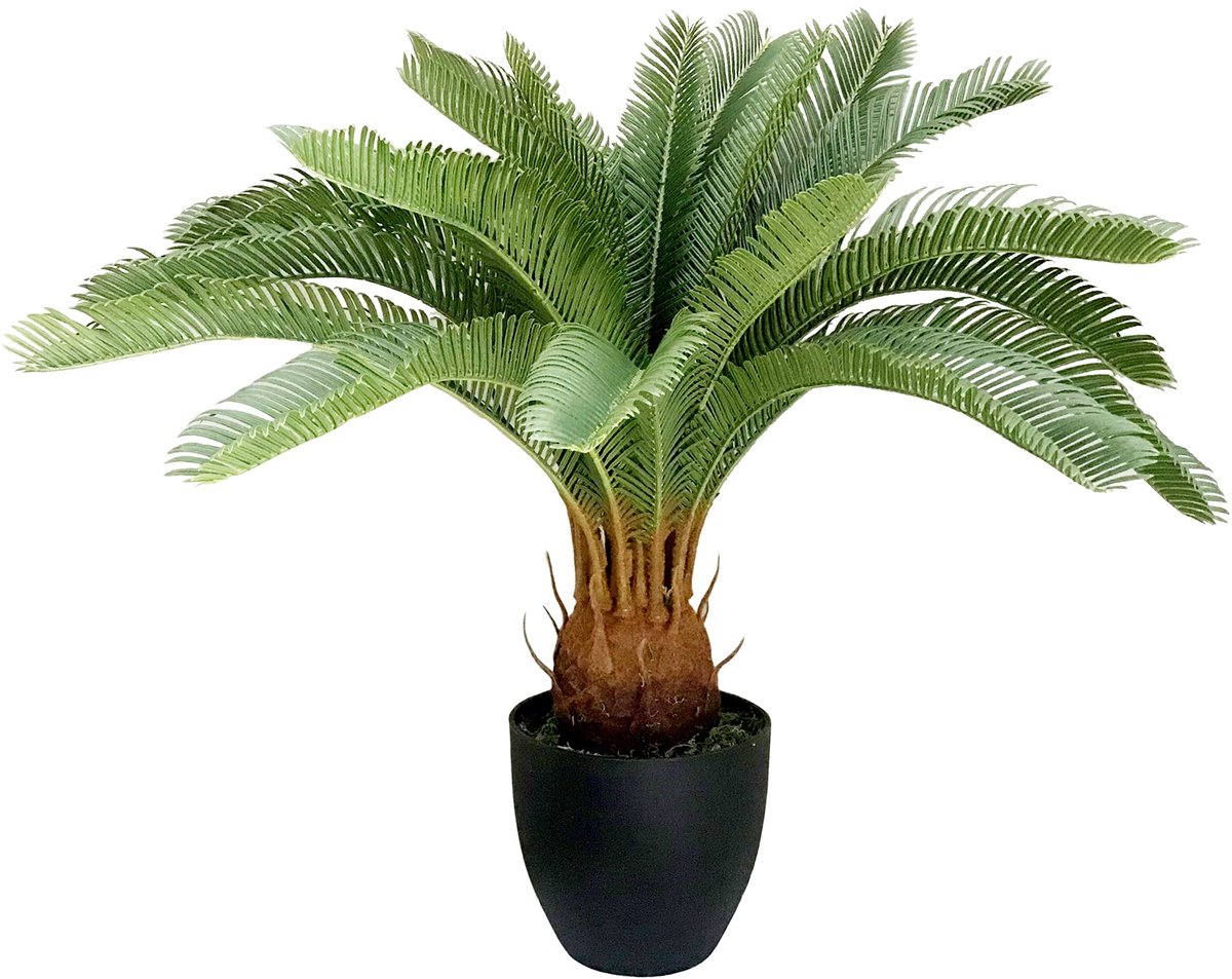 Leaf Design UK Grote Kunstpalm, Cycas Tropical, 70 cm