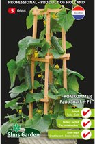 Sluis Garden - Komkommer Patio Snacker F1