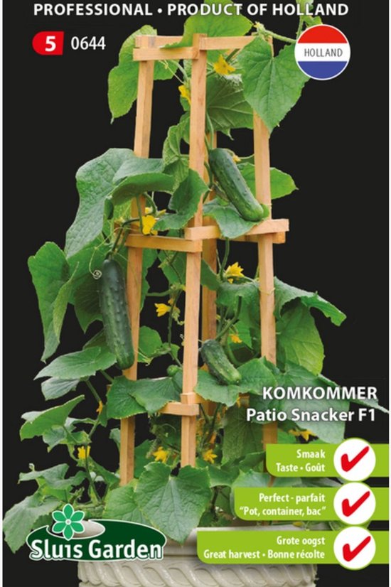 Sluis Garden - Komkommer Patio Snacker F1