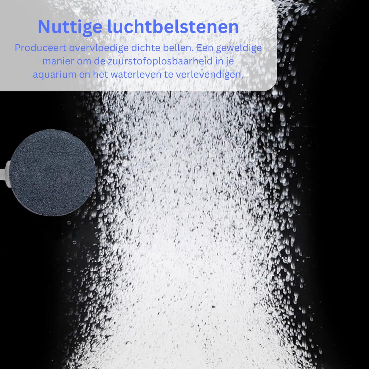 DailySupplies® Luchtpomp Vijver - Zuurstofpomp - Luchtsteen - Luchtpomp Buiten