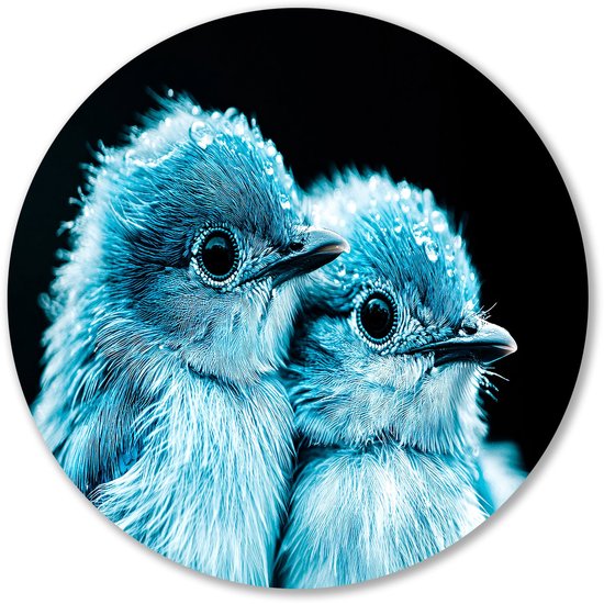 Close-up van blauwe vogels - Vogel wandcirkel - Wandschalen vogels - Hyperrealisme - Industriële Forex muurcirkel - Kunst voor landelijke interieurs - Muurcirkel forex 70x70 cm