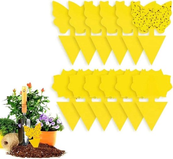 Fruitvliegjes vangen: Tips voor een vliegenvrije keuken