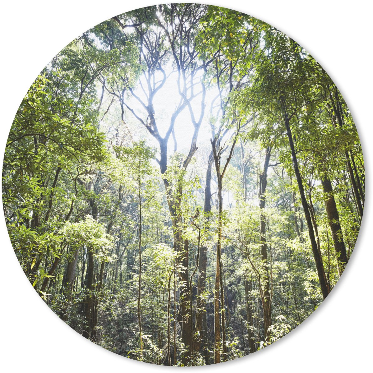 Muismat rond 20x20 cm - Mousepad De zon schijnt door een opening in het Regenwoud in Thailand - Ronde muismatten