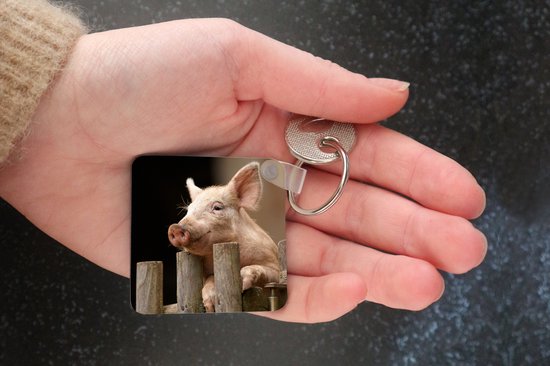 Porte-clés - Cochon - Animal - Clôture - Plastique