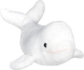 Pluche witte dolfijn/beloega knuffel 25 cm - Dolfijnen zeedieren knuffels - Speelgoed voor kinderen