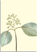 DesignClaud Zaadjes blad poster - Beige - Puur Natuur Botanische poster A3 + Fotolijst zwart