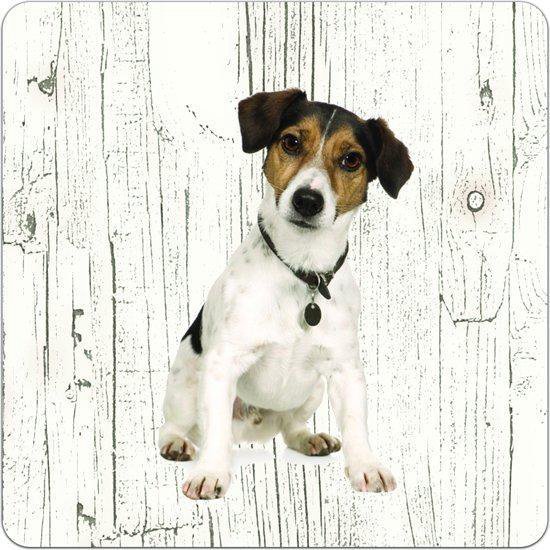 Chien de berger hollandais (poil court) | Sous-verres en bois 6 pièces