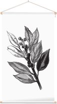 Ilex Hulst zwart-wit 2 (Holly Bud) - Foto op Textielposter - 40 x 60 cm