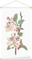 Clematis Armandii (Apple Blossom) - Foto op Textielposter - 40 x 60 cm