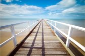Poster Pier | Natuur poster | Poster natuur| Poster landschap