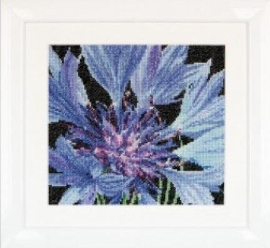 Thea Gouverneur - Borduurpakket met telpatroon - 489A - Voorgesorteerde DMC Garens - Korenbloem - Aida - 15 cm x 14 cm - DIY Kit