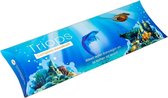 Triops Start Kit - eitjes