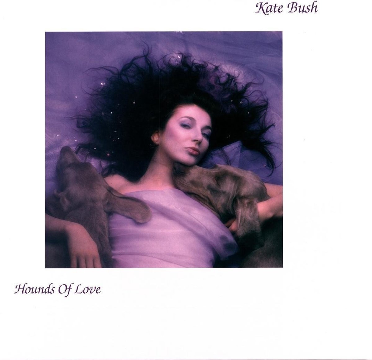 Hounds of Love (LP)
