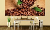 Dimex Coffee Beans Vlies Fotobehang 375x150cm 2-delen