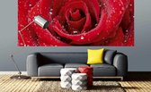 Dimex Red Rose Vlies Fotobehang 375x150cm 2-delen