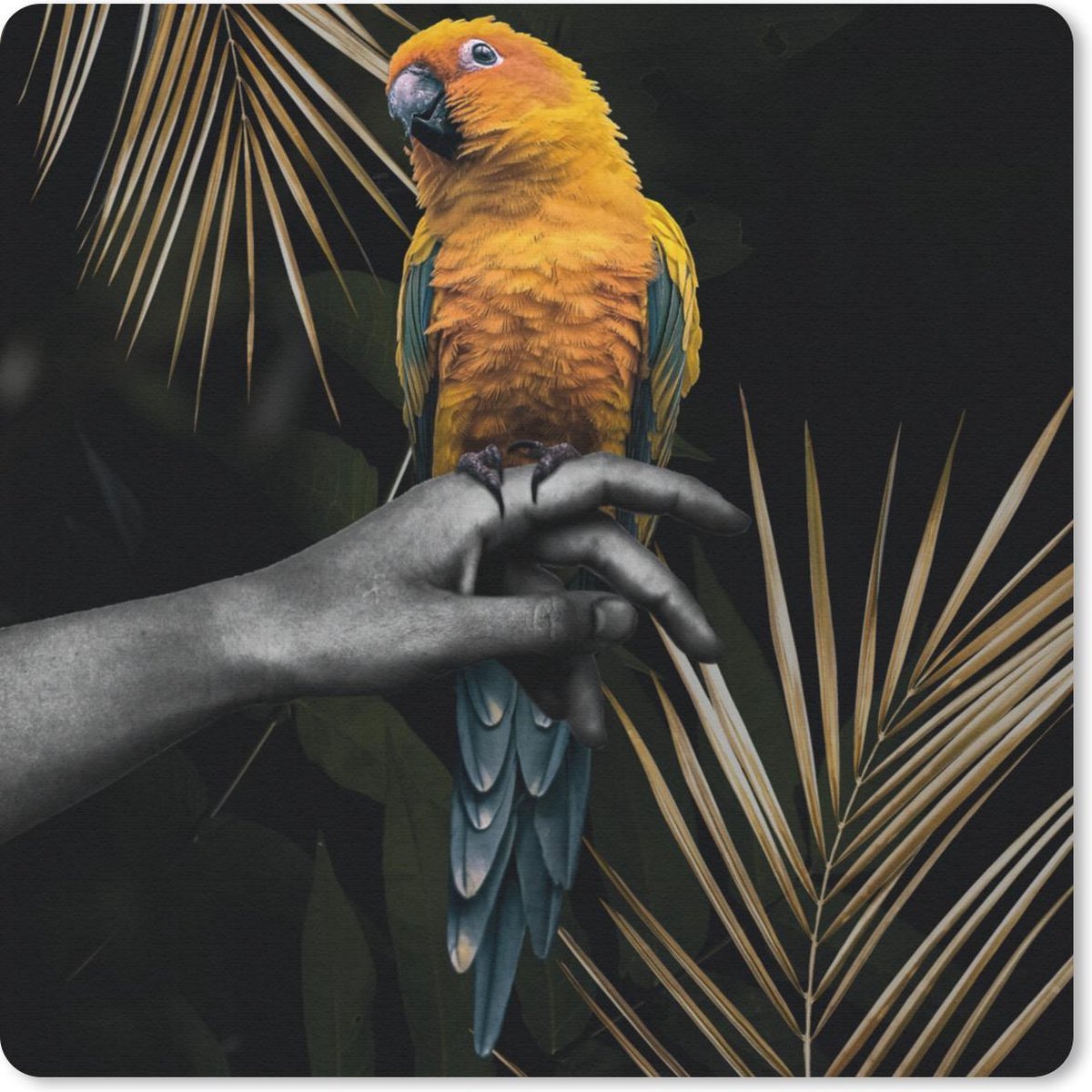 Muismat 30x30 cm - Mousepad Vogel - Papegaai - Hand - Varen - Muismatten
