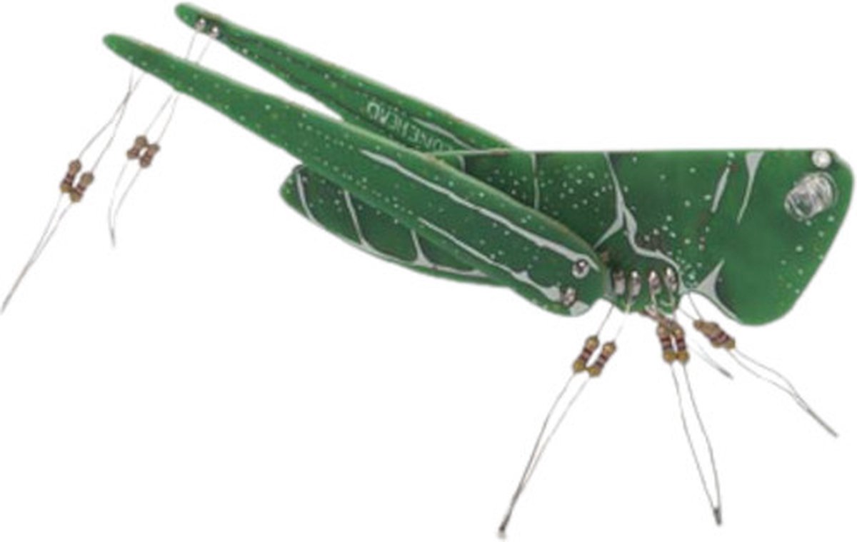 Whadda Animal Kingdom, The Conehead - Soldeerkit - Educatieve Soldeerset - STEM Speelgoed - Solderen Voor Beginners
