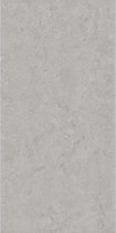 Keramische tegel Bristol Grey- 60x120 - Woodson and Stone - grijs
