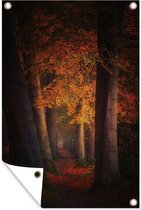 Tuinposter - Tuindoek - Tuinposters buiten - Bos - Pad - Herfst - Rood - 80x120 cm - Tuin