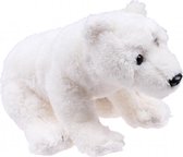 knuffelijsbeer Baby Polari 17 cm pluche wit