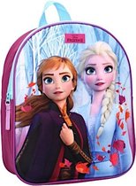 rugzak Frozen II meisjes 9 liter polyester blauw/paars