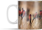 Mok - Een groep karmijnrode bijeneters in Nationaal Park Mana Pools in Zimbabwe - 350 ml - Beker