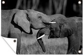 Tuindecoratie Stoeiende olifanten - zwart wit - 60x40 cm - Tuinposter - Tuindoek - Buitenposter