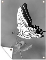 Tuinschilderij Vlinder op een bloem - zwart wit - 60x80 cm - Tuinposter - Tuindoek - Buitenposter