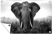 Tuindecoratie Dreigende olifant - zwart wit - 60x40 cm - Tuinposter - Tuindoek - Buitenposter