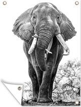 Muurdecoratie buiten Etende olifant in zwart-wit - zwart wit - 120x160 cm - Tuindoek - Buitenposter