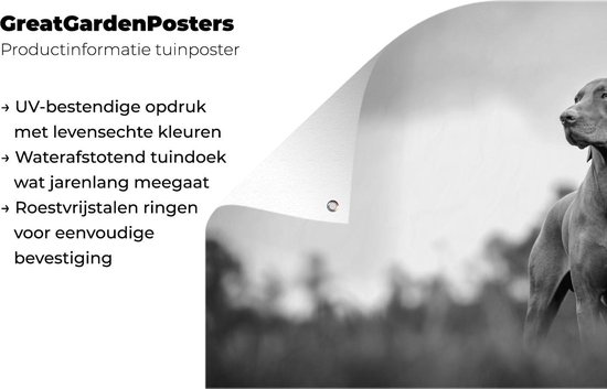 Décoration murale Chien regardant ailleurs - noir et blanc - 180x120 cm - Poster jardin - Toile jardin - Poster extérieur