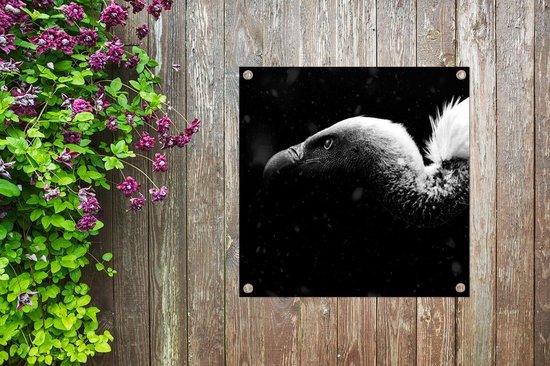 Tissu de jardin Gros plan d'un vautour fond noir - noir et blanc - 100x100 cm