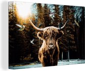 Canvas schilderij 140x90 cm - Wanddecoratie Schotse hooglander - Kolibrie - Bos - Muurdecoratie woonkamer - Slaapkamer decoratie - Kamer accessoires - Schilderijen