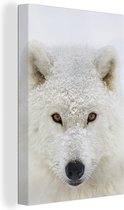 Canvas Schilderij Wolf - Portret - Sneeuw - 40x60 cm - Wanddecoratie