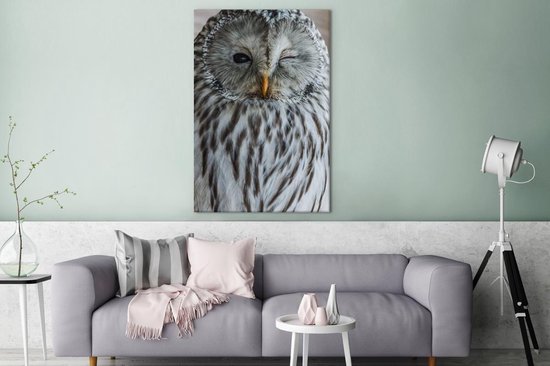 Peintures sur toile Hibou - Ressorts - Portrait - 90x140 cm - Décoration murale