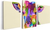 Artaza Canvas Schilderij Drieluik Kleurrijke Giraffe - Abstract - 120x60 - Foto Op Canvas - Canvas Print