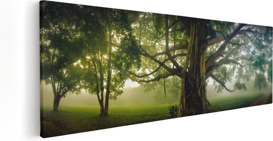 Artaza Canvas Schilderij Grote Levensboom Met Veel Takken - 120x40 - Groot - Foto Op Canvas - Canvas Print