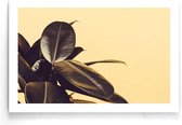 Walljar - Rubber Plant Yellow - Muurdecoratie - Poster