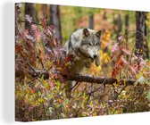 Toile Peinture Loup - Branche - Forêt - 150x100 cm - Décoration murale