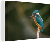 Tableau Toile Vogel - Martin Pêcheur - Branche - 140x90 cm - Décoration murale